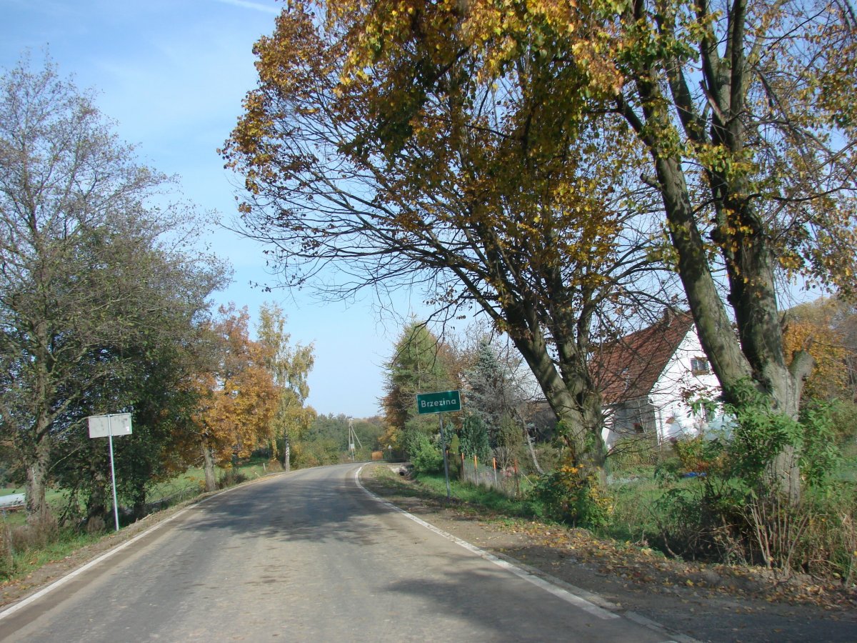 Dzięki 