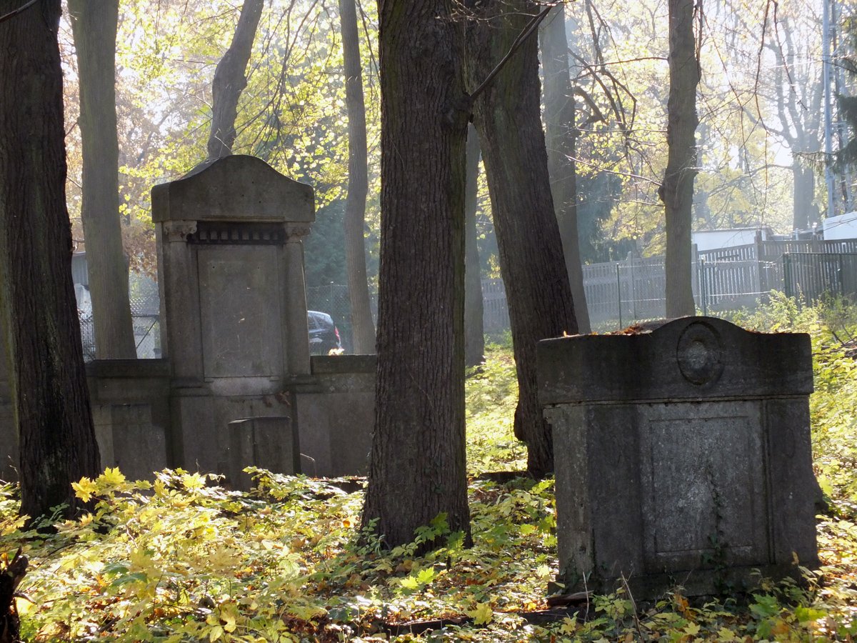 Nie wszędzie zapłoną znicze. Zaniedbany cmentarz przy Sadowej    