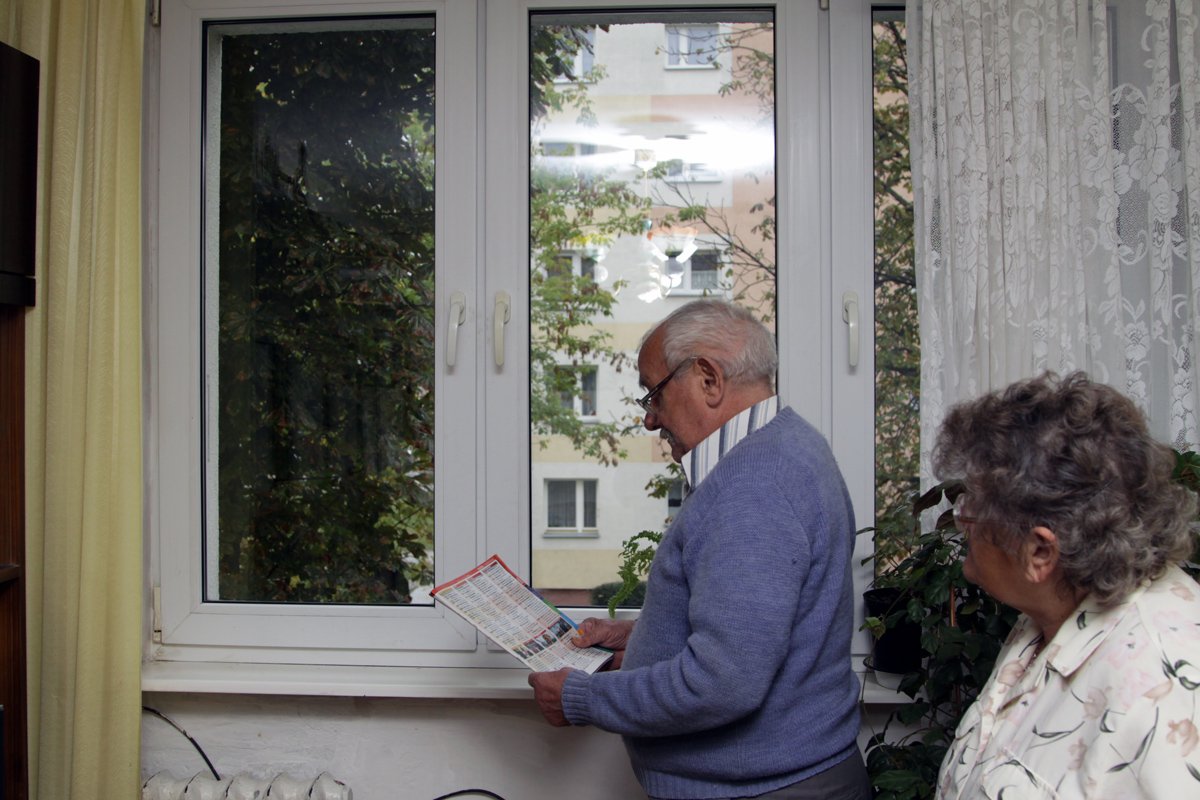 Prosimy o wycięcie kasztanowców  . Mamy ciemno jak w piwnicy!