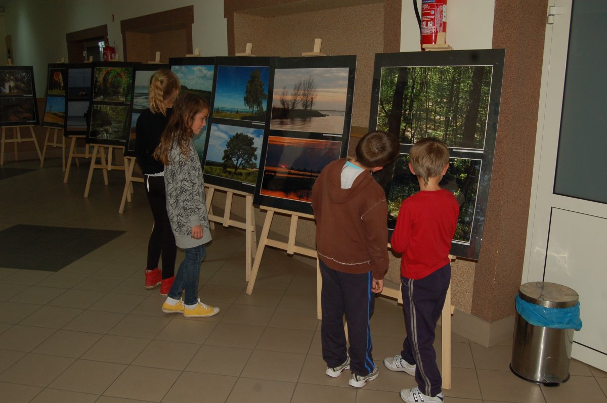 Wszystkie barwy zieleni