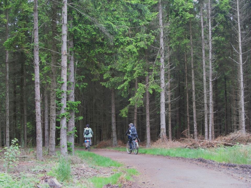 Powstaje nowa trasa dla rowerzystów. Szlak Mennonitów