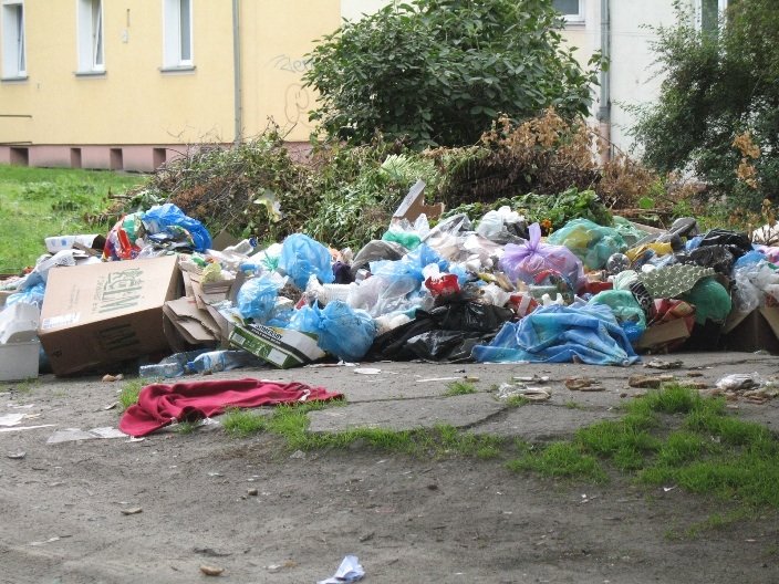 Z workiem domowych śmieci na wysypisko