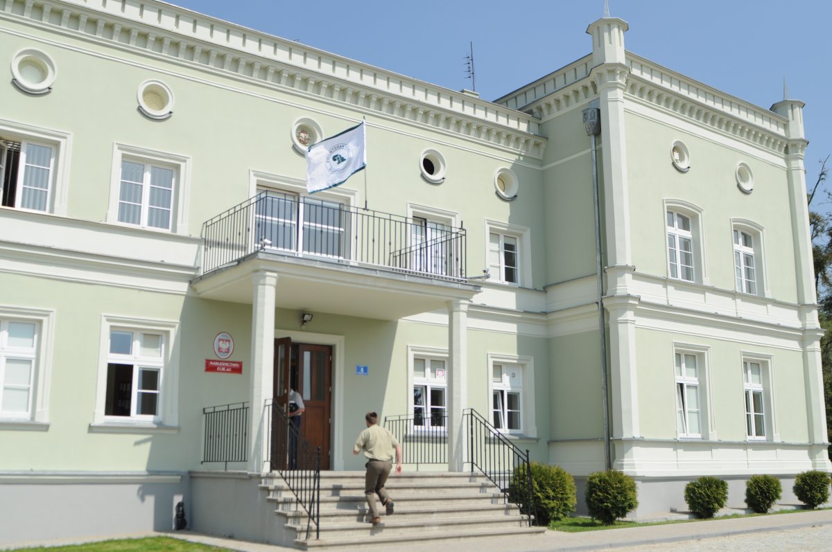 Przy Marymonckiej wycięto 60 drzew. To początek leśnej rewolucji
