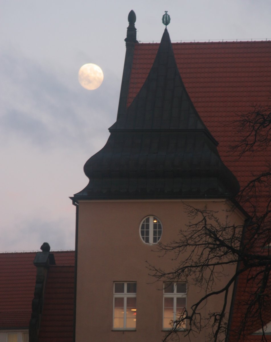 Elbląg nadal bez komisarza.