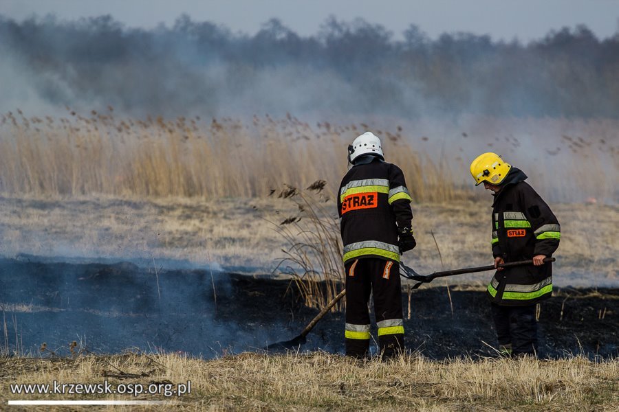 Pożar traw w miejscowości Węgle Żukowo
