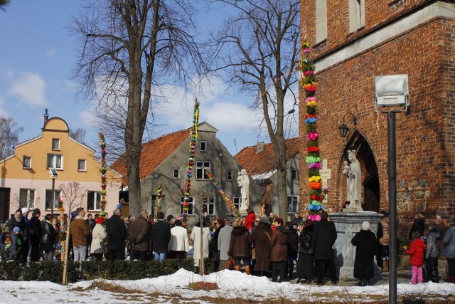 Napisali do nas: Wybrano najpiękniejszą palmę