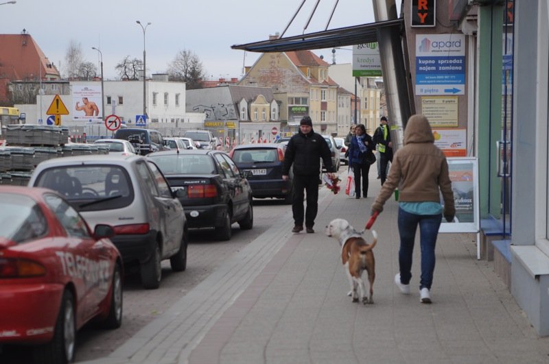 Na 12 Lutego roboty drogowe  trzeba po prostu przetrwać