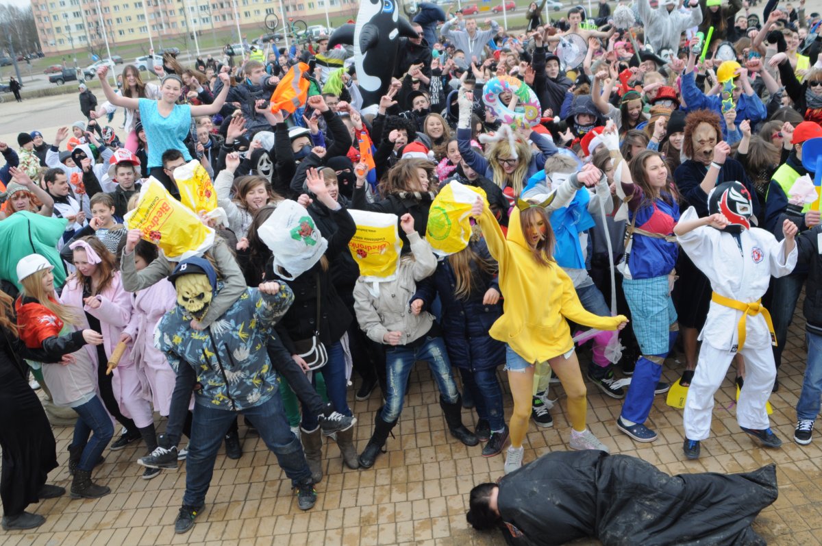 Wirus Harlem Shake dopadł elblążan  