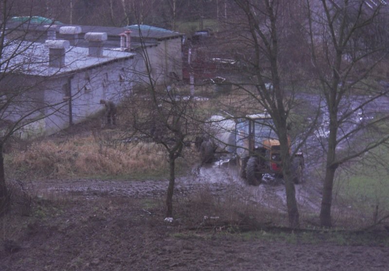 Fetor i rój much. Śmierdzący problem z ul. Fromborskiej?