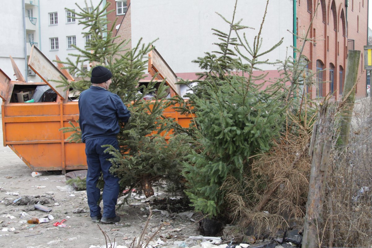 Choinkę wystaw obok śmietnika lub oddaj na cele charytatywne