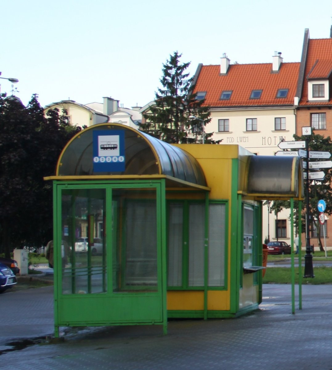 Spostrzeżenia Subiektywne czyli Polski Bus albo parcie na szkło