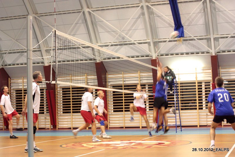 Pięć meczów Awangarda Volley Ligi