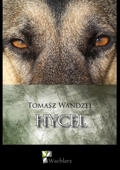 Tomasz Wandzel. Spotkanie z autorem