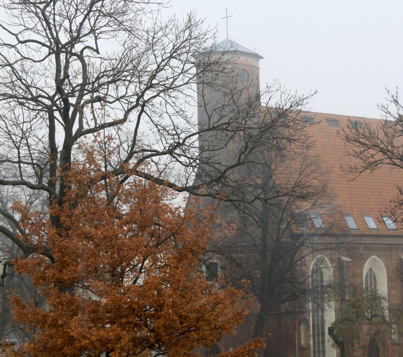 Elbląska Szkoła Biblijna. Dla wszystkich pragnących zgłębić tajemnice Biblii