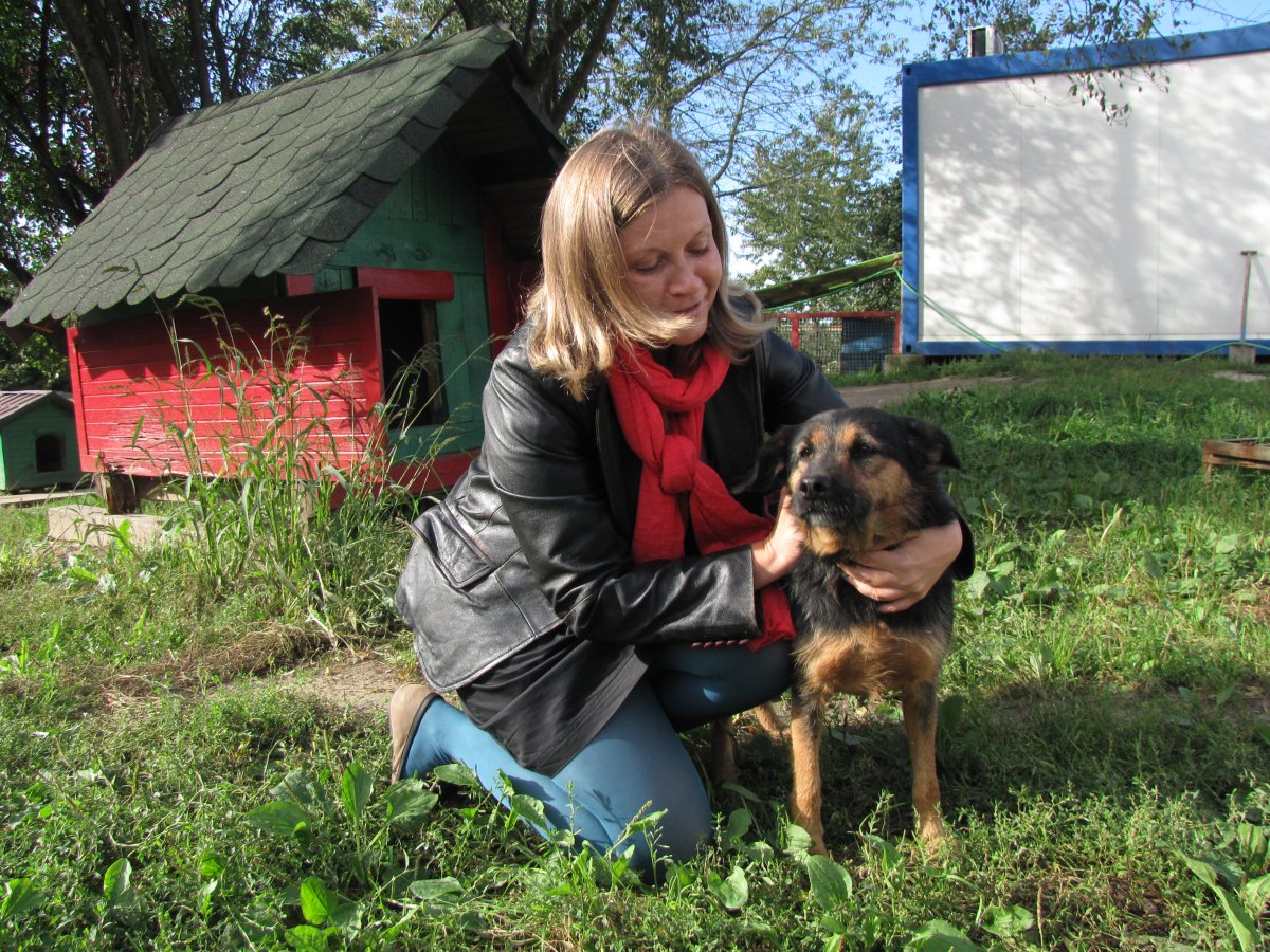 Zostań wirtualnym opiekunem psa lub kota  