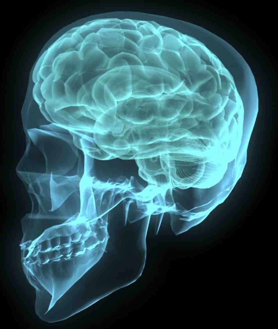 Światowy Dzień Choroby Alzheimera