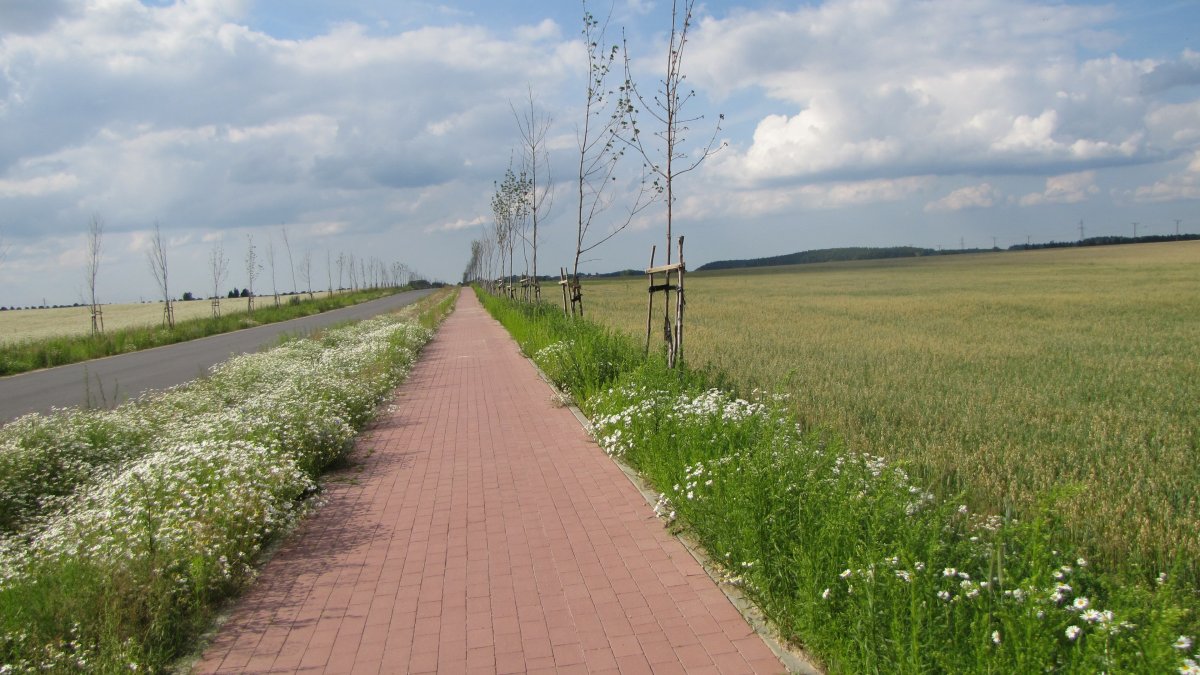 Rusza budowa ścieżek rowerowych . Znad Zalewu Wiślanego na Kielecczyznę
