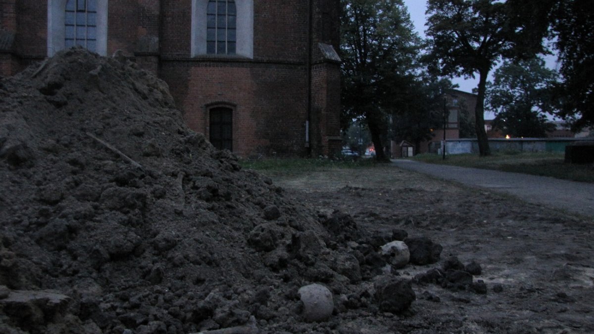 Czaszki, kości porzucone na budowie. 