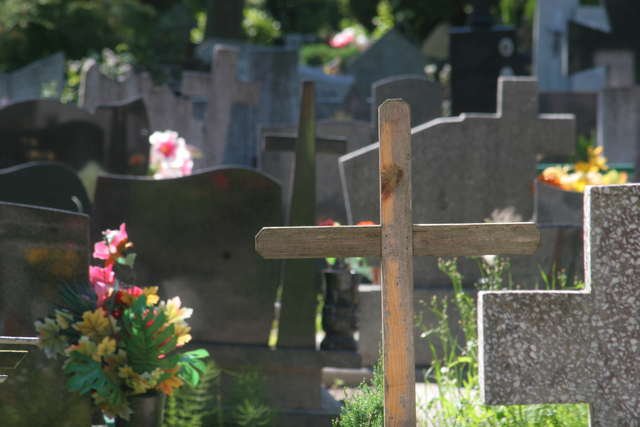 Rozbudowa cmentarza na Dębicy.Będzie więcej miejsc w kolumbariach  