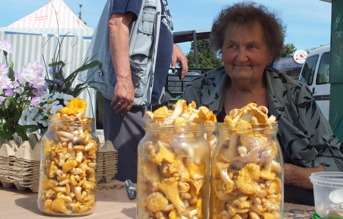 Na grzyby i jagody. W lecie żyją z tego, co znajdą w lesie