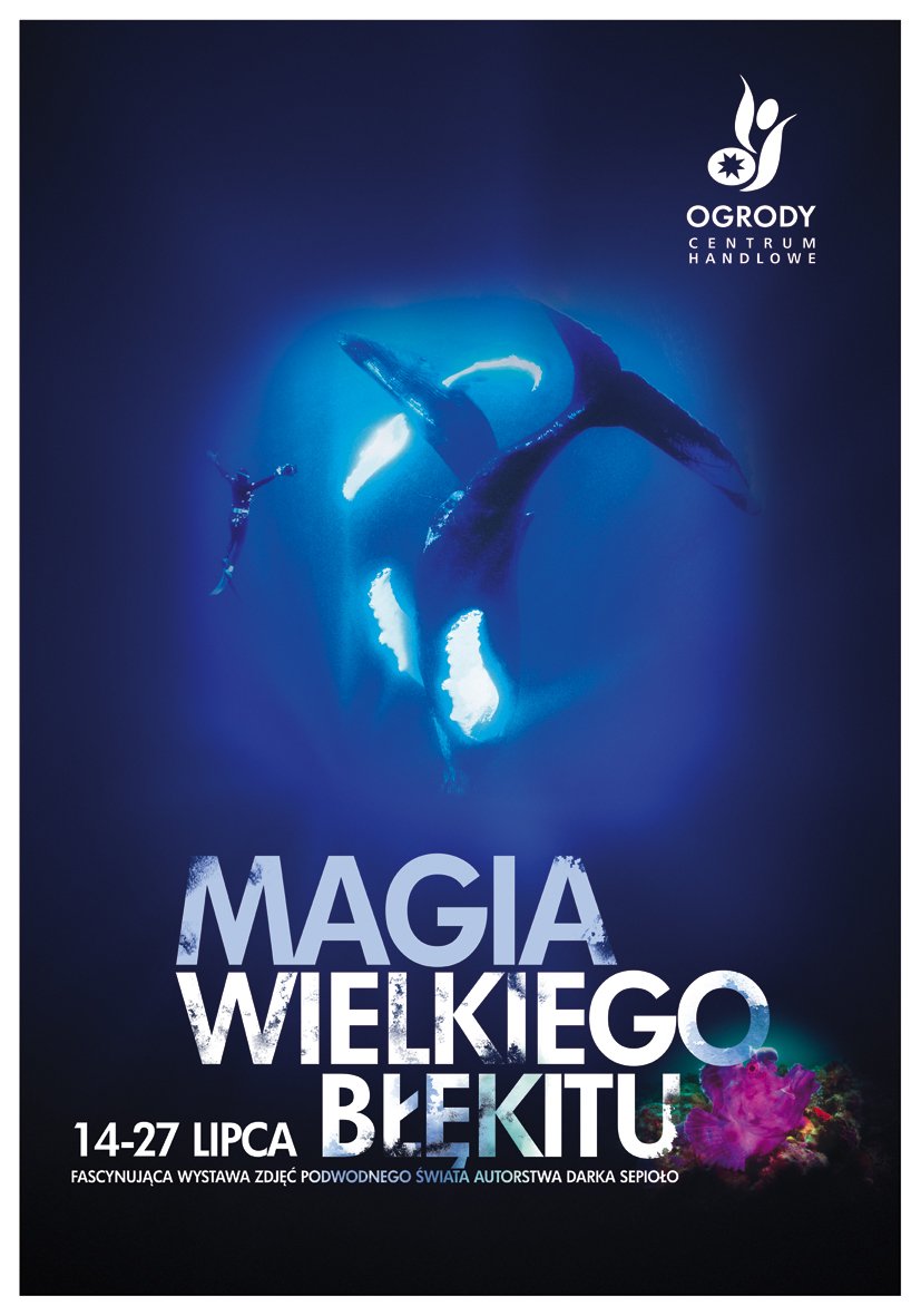 Magia Wielkiego Błękitu - wystawa zdjęć podwodnego świata w Ogrodach