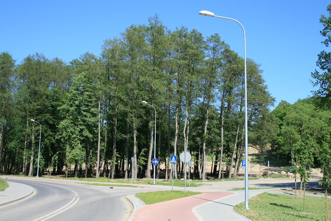 W Elblągu powstanie Park Linowy