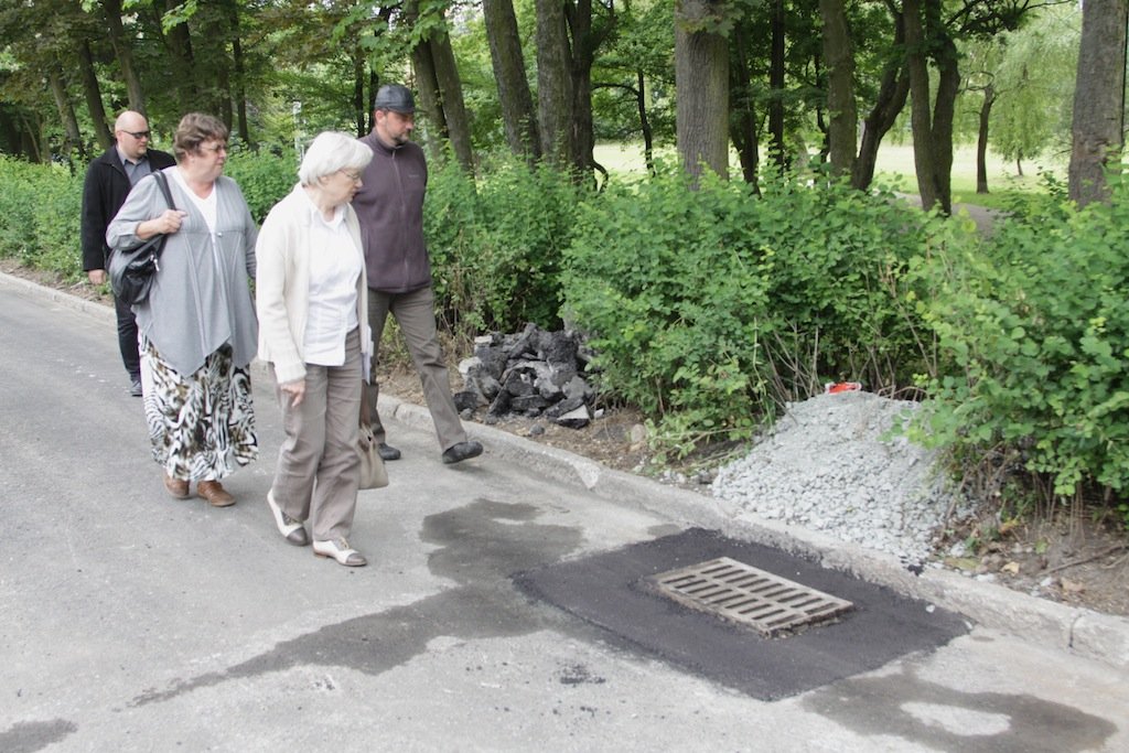 Remontowali ulicę w Parku Kajki, a parkowa zieleń ucierpiała 