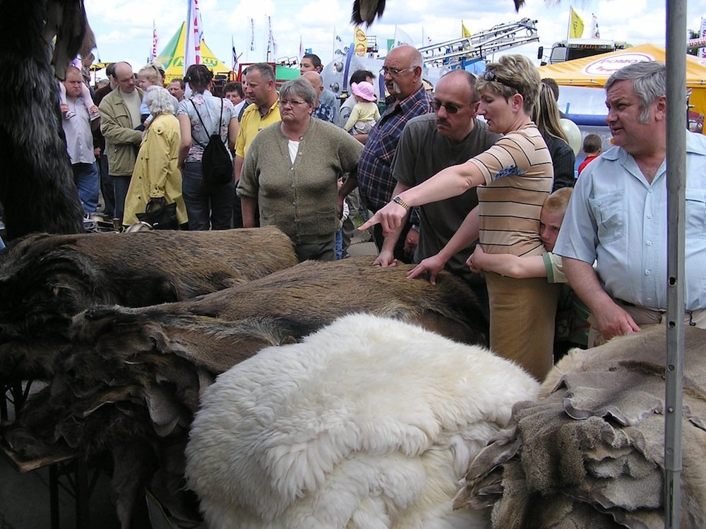 200 wystawców i tysiące gości. Wybierz się w weekend do Starego Pola na Wiosenne Targi Ogrodnicze