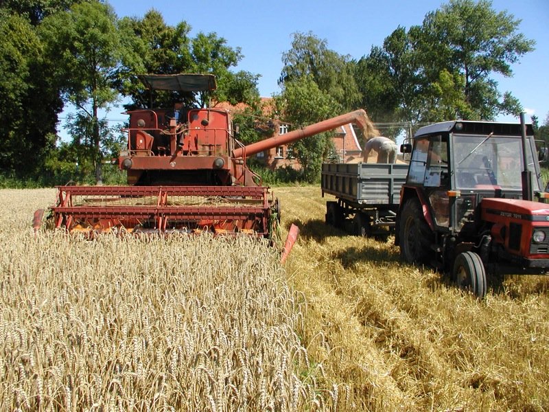 Rolnicy szacują straty po wiosennych przymrozkach 