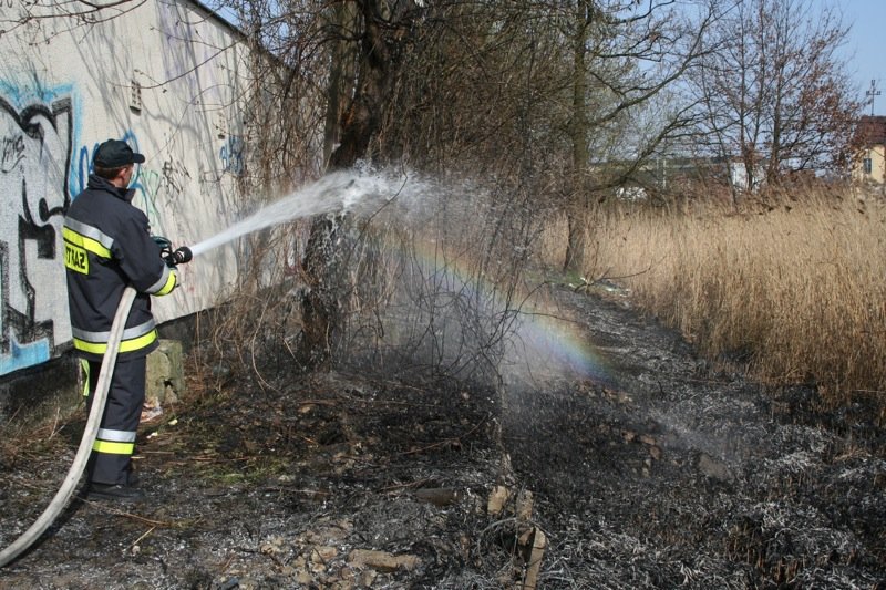 Po pierwsze nie wypalać. Tej wiosny spłonęło już 15 hektarów traw