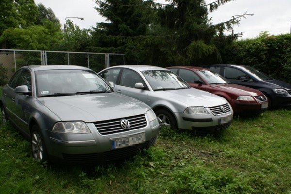 Przez pół roku skradli pięćdziesiąt samochodów