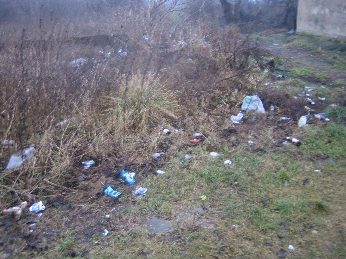 Straż Miejska sprawdzi czystość w mieście. Bałagan może drogo kosztować