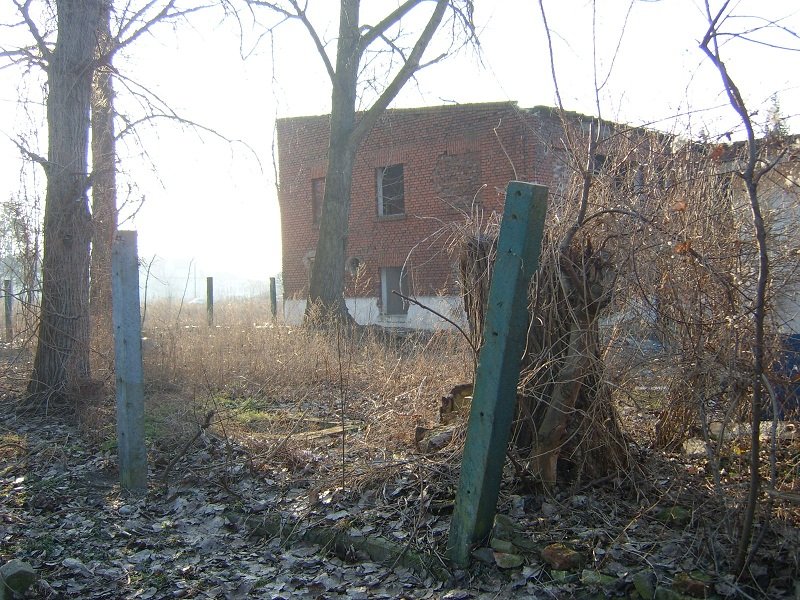 Czytelnik: O krok od tragedii na Wyspie Spichrzów