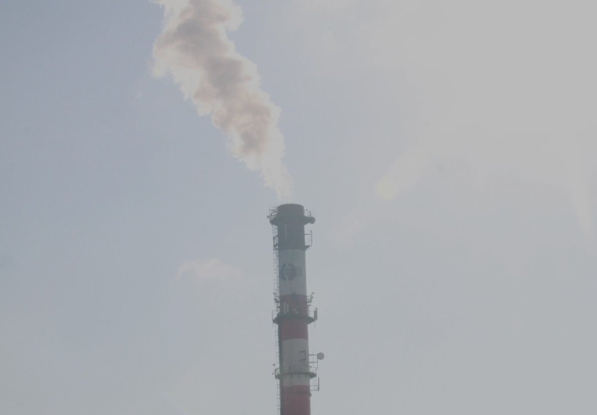 Dąbrowa: 