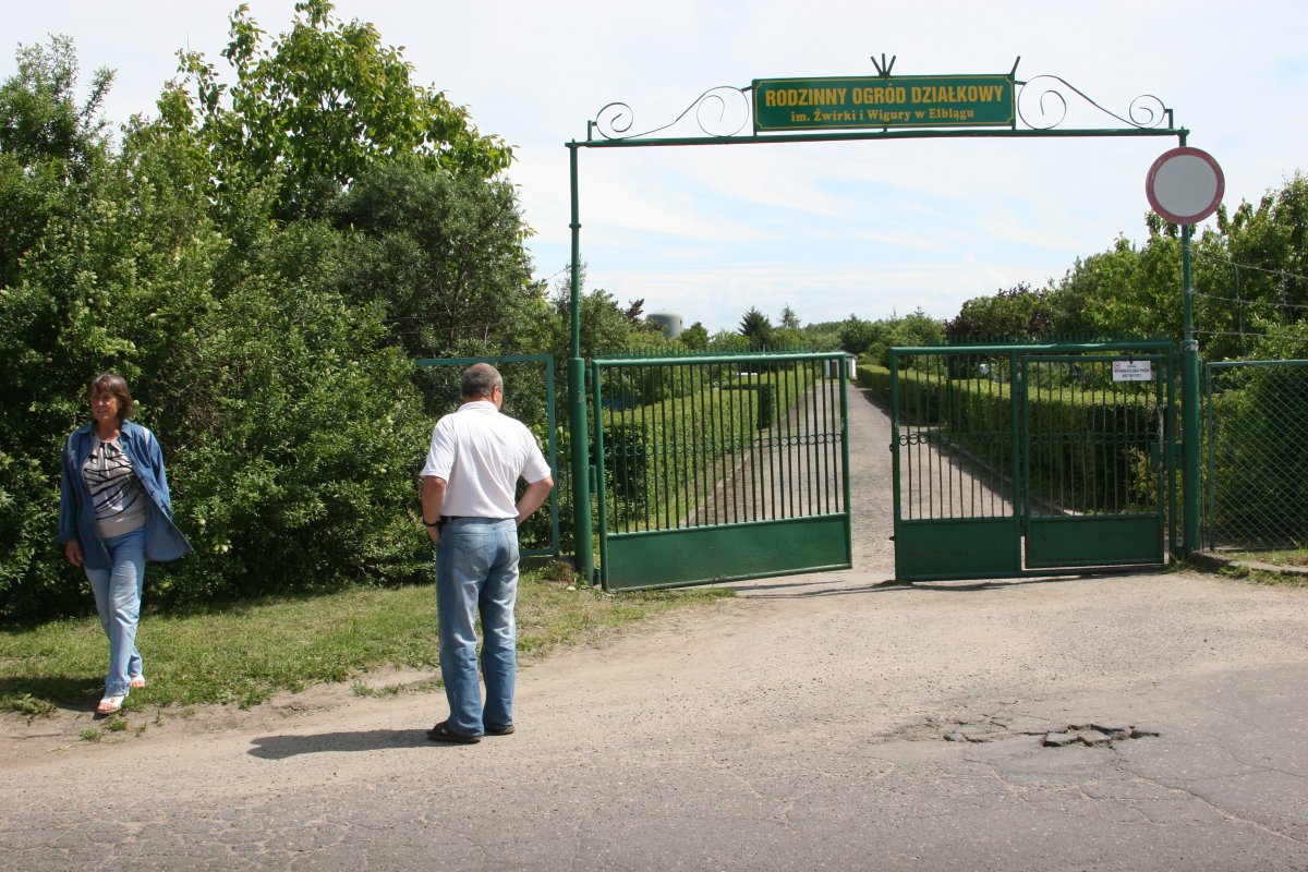 Ropa i farby zatruwają działki przy Skrzydlatej. Urzędnicy milczą
