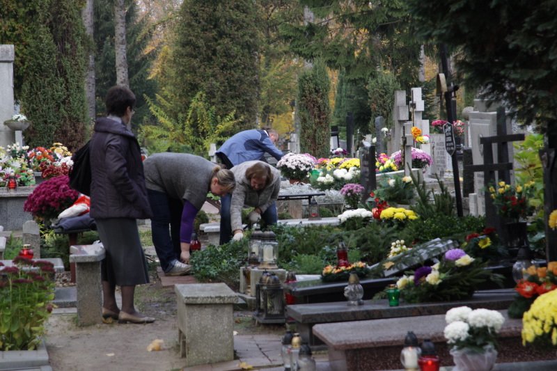 Tak elblążanie przygotowują się do Wszystkich Świętych. Zdjęcia