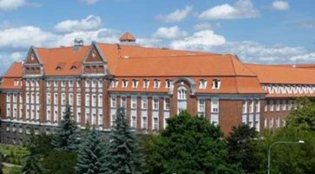 Chcesz adoptować dziecko?  Musisz poczekać jeszcze kilka miesięcy