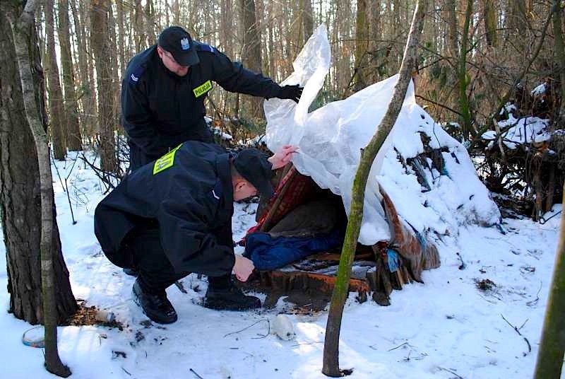 Zimno, zimnej, mroźno... Dla nich to śmiertelne zagrożenie