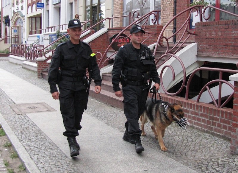 Policyjne psy będą częściej patrolowały ulice