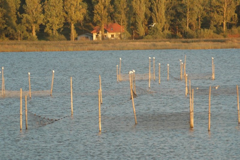 Pieniądze dla rybaków. Dostaną łącznie 26 milionów