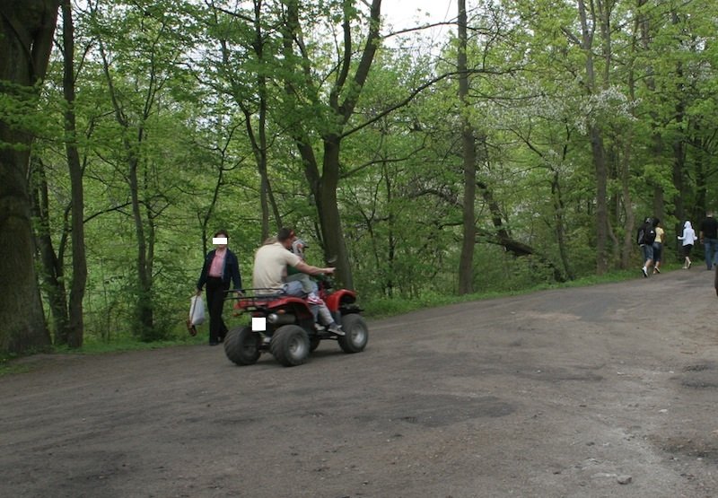  No to jazda przez las . Bażantarnia wolna od quadów i motorów?