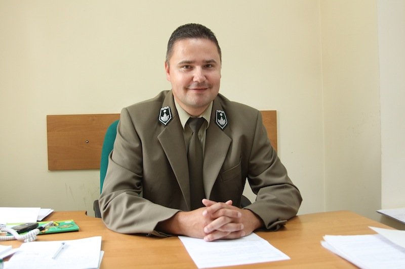 Dziki w mieście. Leśniczy: to my wkraczamy na teren dzikiej zwierzyny