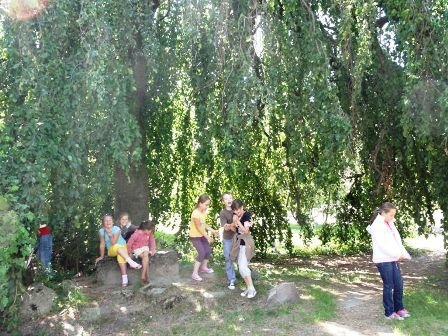 Napisali do nas: Bukowe tajemnice i wielkie sprzątanie lasu w Łęczu