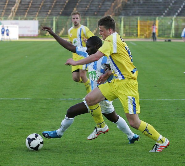 W sobotę Olimpia Elbląg podejmuje Stal Stalową Wolę  