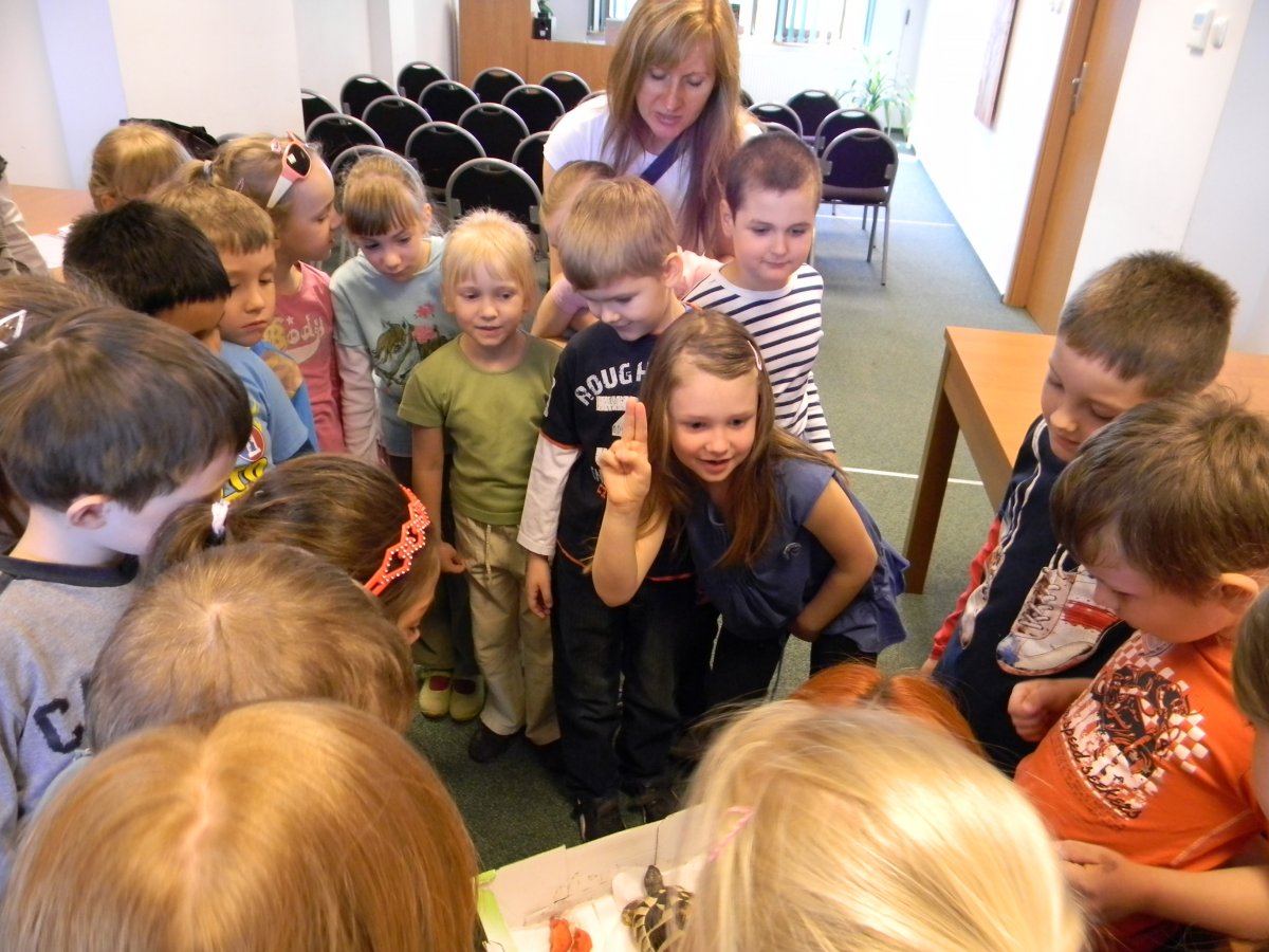 Baśniowe spotkanie w Bibliotece Pedagogicznej