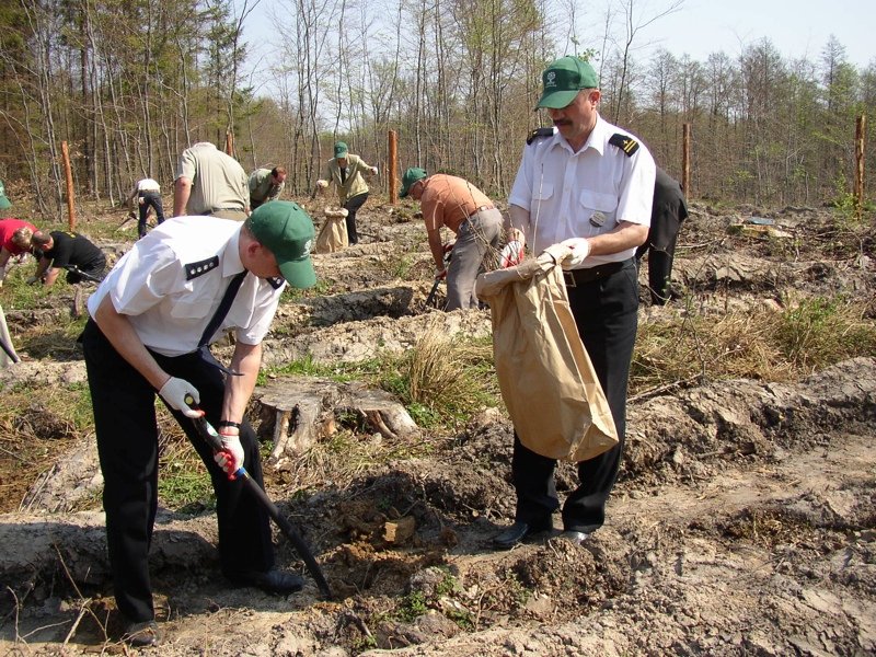 Efekty ich pracy będą widoczne przez lata. Posadzili 800 debów