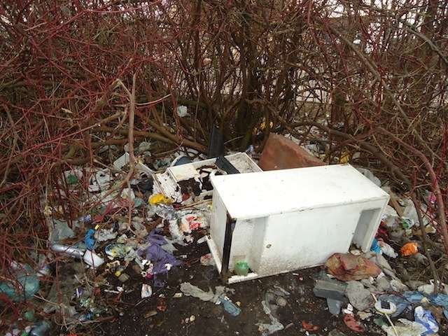 Strażnicy sprawdzą, czy Elbląg jest czysty. 500 zł dla brudasów