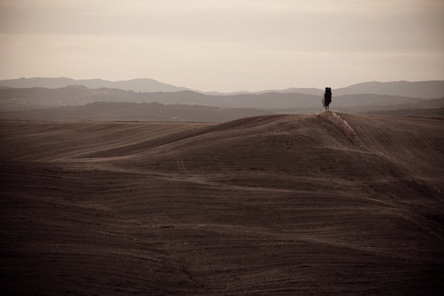 Wernisaż wystawy fotografii Miłosza Kulawiaka pt. La Bella Toscana