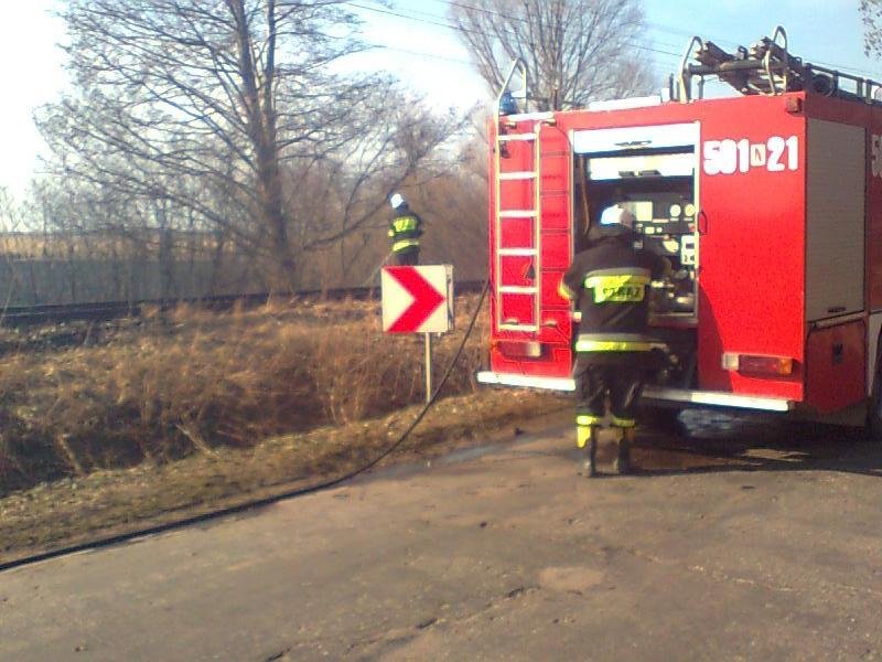 Nauka idzie w las, czyli trwa masowe wypalanie traw 