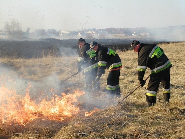 Płonące łąki to prawdziwa zmora strażaków 